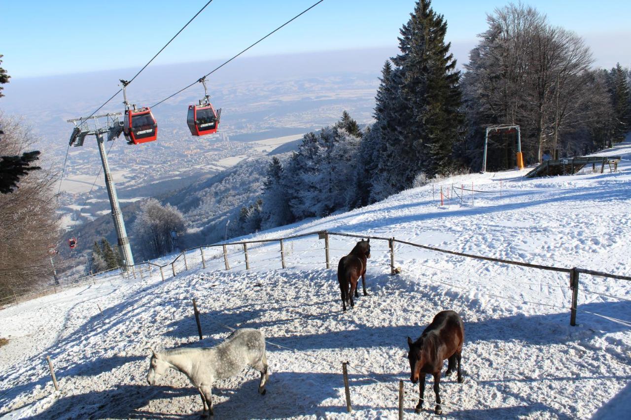 Pohorje Village Wellbeing Resort - Wellness & Spa Hotel Bolfenk Maribor Buitenkant foto